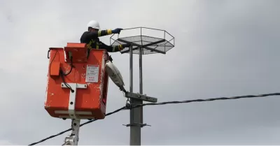 Trakya'da Leylekler için 1000 Platform Kuruldu